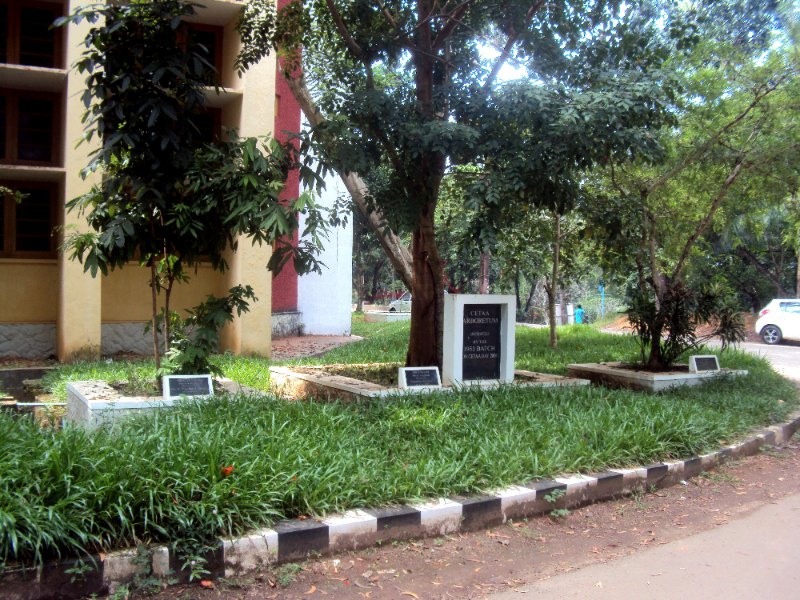 Arboratum
